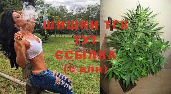 прущий лед Арсеньев